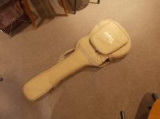 Taylor T5Z Classic Mh PU標準装備 (Expression System )_5