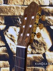 Orpheus Valley Guitars オルフェウス・ヴァレー・ギターズ Rondo RS  松・ウォルナット【日本総本店2F在庫品】_7