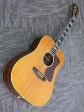 Nashville N55D