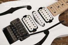 Ibanez 1995 PGM300_6
