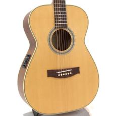 Maton MASTER BUILT- TE Personal_4