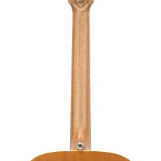 Maton MASTER BUILT- TE Personal_9