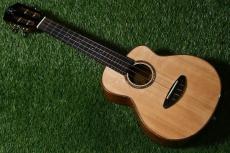 aNueNue UC100E Concert【USED】_2