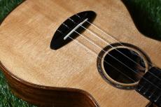 aNueNue UC100E Concert【USED】_10