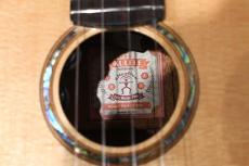aNueNue UC100E Concert【USED】_16