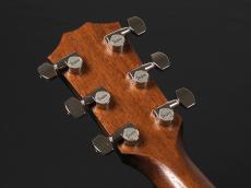 Taylor AD17 ~Natural~ w/Element VTC -American Dream Series-_9