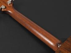 Taylor AD17 ~Natural~ w/Element VTC -American Dream Series-_10