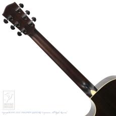 Eastman AC422CE_7