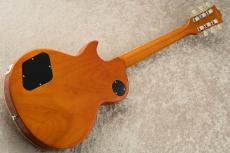 Edwards E-LP-STD -Gold- #ED7491243 【旧定価】_6