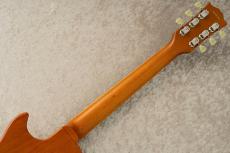 Edwards E-LP-STD -Gold- #ED7491243 【旧定価】_8