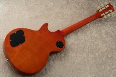 Edwards E-LP-STD -Vintage Honey Burts / VHB- #ED3732243 【旧定価】_6