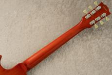 Edwards E-LP-STD -Vintage Honey Burts / VHB- #ED3732243 【旧定価】_8