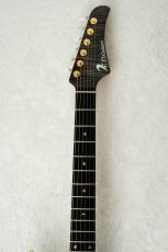 T's DST Pro 24 -Trans Black w/Antique Gold Wrap Back-_6