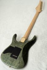 T's DST Pro 24 -Trans Black w/Antique Gold Wrap Back-_8