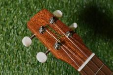 Famous FS-0 Soprano_5