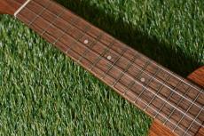 Famous FS-0 Soprano_7