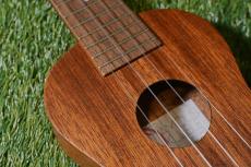 Famous FS-0 Soprano_9