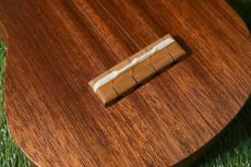 Famous FS-0 Soprano_10