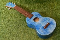 Famous FS-S10 BL Soprano_2