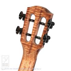 TODA Guitars VT-CW All Koa Special_8