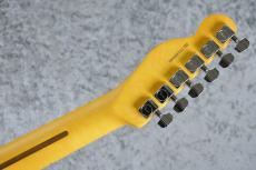 Fender FSR Limited Edition American Professional Telecaster Thinline / Transparent Surf Green [3.21kg]_8