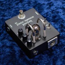 Beyond Beyond Tube Preamp Acoustic Wired 2S_3