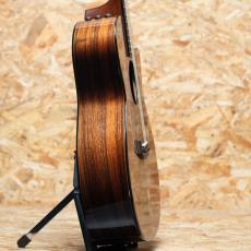 Taylor 914ce LTD Sinker Redwood 2019_4