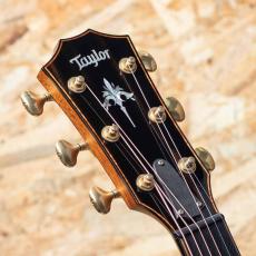 Taylor 914ce LTD Sinker Redwood 2019_8