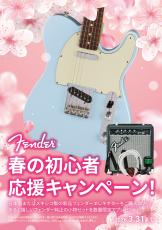 Fender Made in Japan Limited Telecaster Paisley Black #JD25019126【アンプセットプレゼント対象】_2
