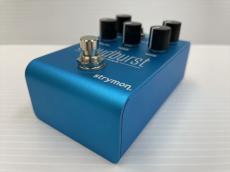 strymon Cloudburst_2
