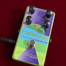 catalinbread Topanga GREEN 【山野楽器・関西限定カラー】【Fender 6G15リバーブユニットを再現】_2