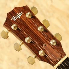 Taylor GS Sitka Spruce×Indian Rosewood 2006_8