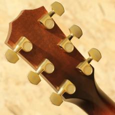 Taylor GS Sitka Spruce×Indian Rosewood 2006_9