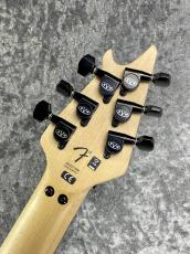 EVH Wolfgang Special Stealth Black【USED】【コイルタップ】【3.36kg】_7