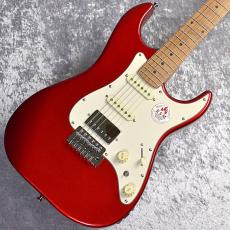 Bacchus GS-2DX RSM/M 【CAR】現物画像