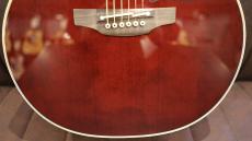 Takamine DMP551C WR 【トップシダー】【赤色】【性能含め人気モデル】_3