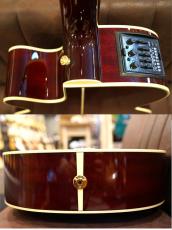 Takamine DMP551C WR 【トップシダー】【赤色】【性能含め人気モデル】_8