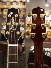 Takamine DMP551C WR 【トップシダー】【赤色】【性能含め人気モデル】_9