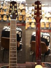 Takamine DMP551C WR 【トップシダー】【赤色】【性能含め人気モデル】_10