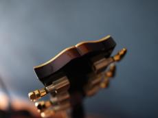 Gibson J-200 Deluxe Rosewood_15