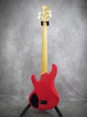 Lakland SK-569【 L'Arc-en-Ciel TETSUYA Model】_9
