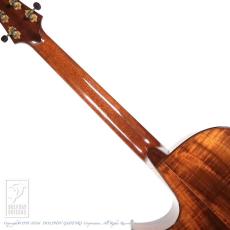 Taku Sakashta Guitars The Hard "Koa" Special_6