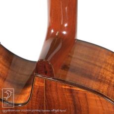 Taku Sakashta Guitars The Hard "Koa" Special_12