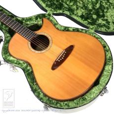 Taku Sakashta Guitars The Hard "Koa" Special_13