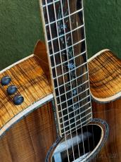 Taylor 【Top Japan Retailer Fair】【Hand Selected】BTO Custom GA Island Vine -2pc Master Grade Hawaiian Koa-_3