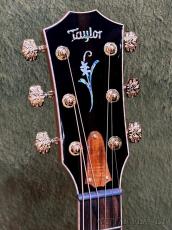 Taylor 【Top Japan Retailer Fair】【Hand Selected】BTO Custom GA Island Vine -2pc Master Grade Hawaiian Koa-_4