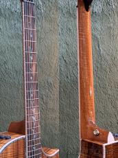 Taylor 【Top Japan Retailer Fair】【Hand Selected】BTO Custom GA Island Vine -2pc Master Grade Hawaiian Koa-_8