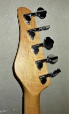 SCHECTER ダイヤモンドシリーズ_5