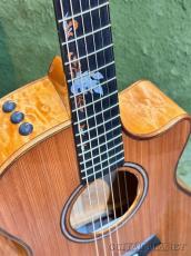 Taylor 【Top Japan Retailer Fair】Catch Custom #16 Amber Tide / C12ce B5016 #1201285104_3