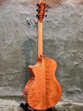 Taylor 【Top Japan Retailer Fair】Catch Custom #16 Amber Tide / C12ce B5016 #1201285104_7